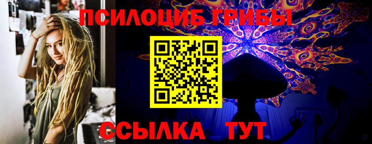 Домодедово  Псилоцибиновые грибы прущие грибы  как найти закладки  Вход с VPN 
